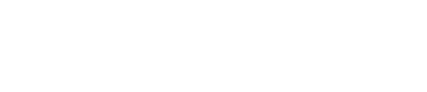 Strad model violin - 2010