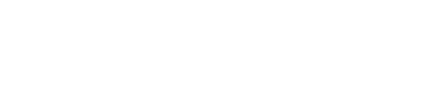 Strad model violin - 2008
