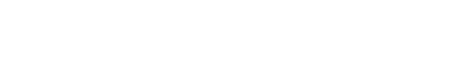 Guadagnini model viola - 2008